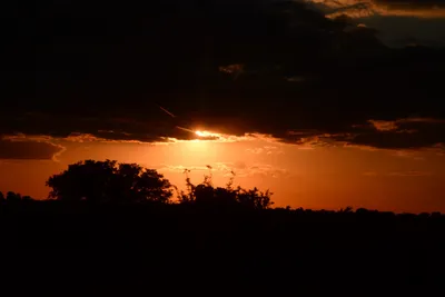 DSC_9734 (Large).JPG